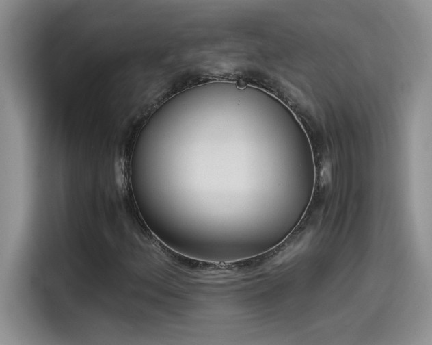 X0000115511156200911131335