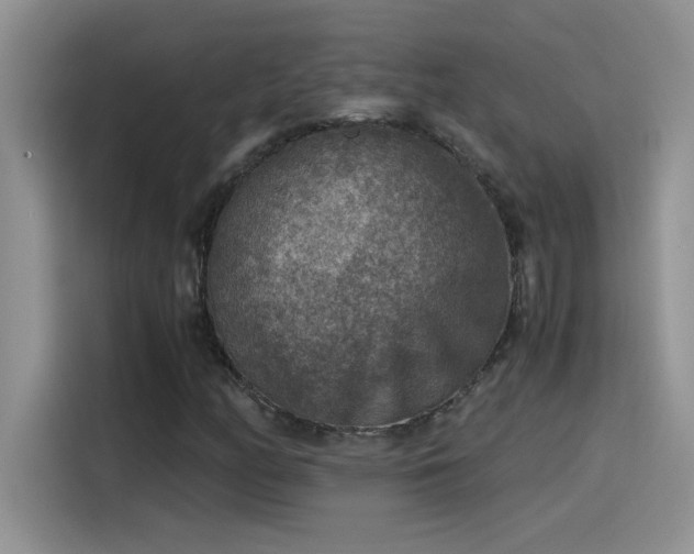 X0000115511158200911131335