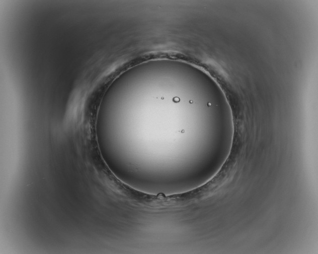 X0000115511159200911131335