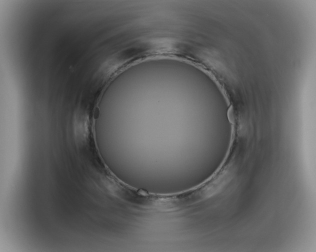 X0000115511161200911131335