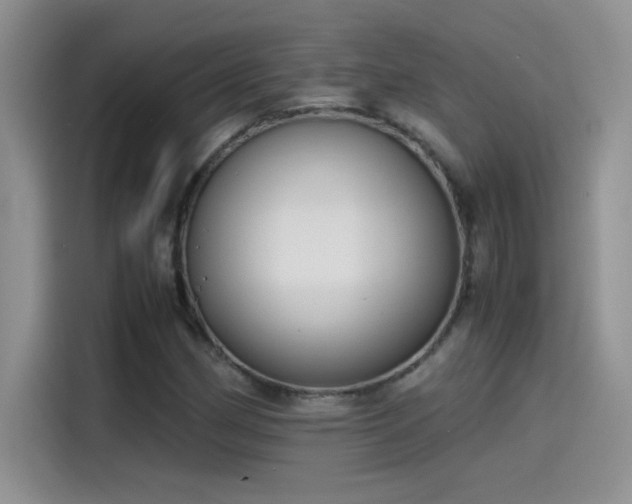 X0000115511162200911131335