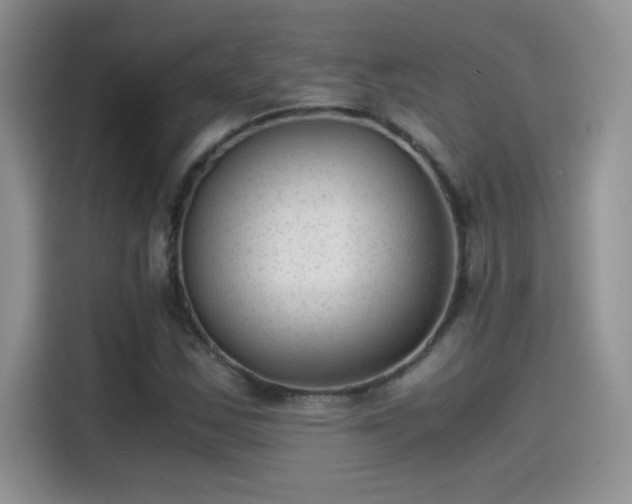 X0000115511163200911131335