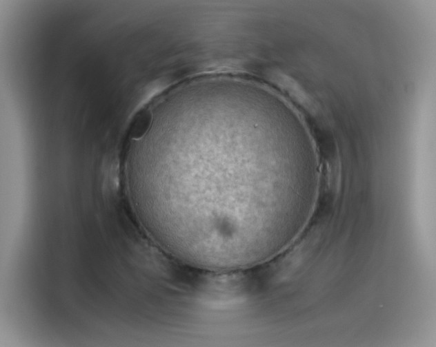 X0000115511165200911131335