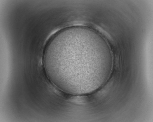 X0000115511166200911131335