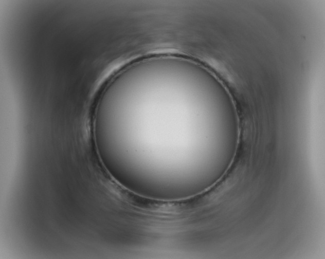 X0000115511167200911131335