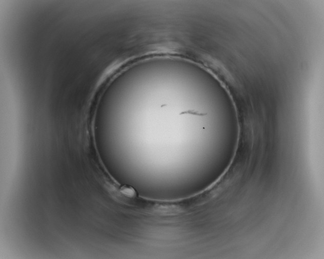 X0000115511168200911131335