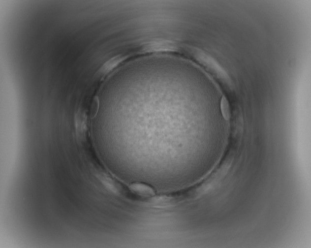 X0000115511169200911131335