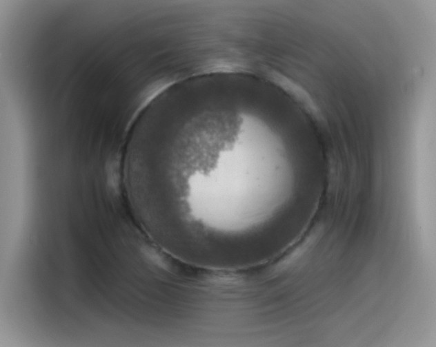 X0000115511170200911131335