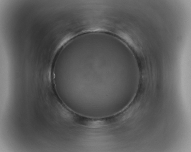 X0000115511173200911131335