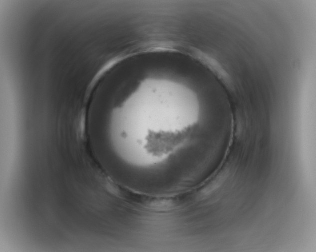 X0000115511174200911131335