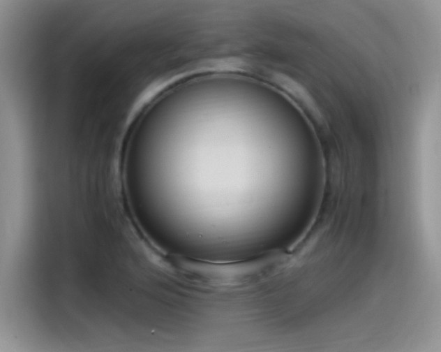 X0000115511176200911131335