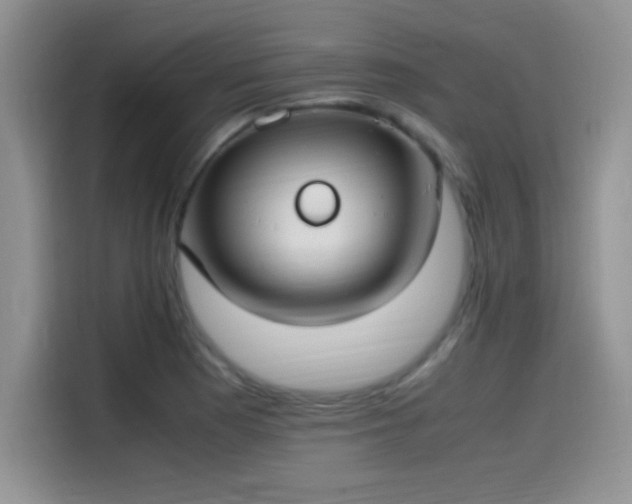 X0000115511177200911131335