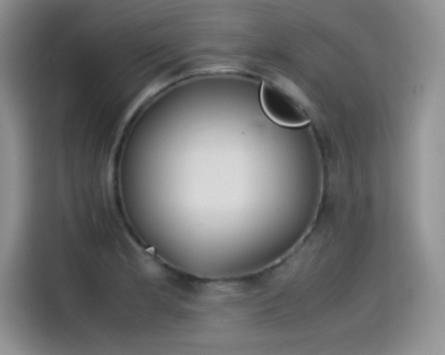 X0000115511181200911131335