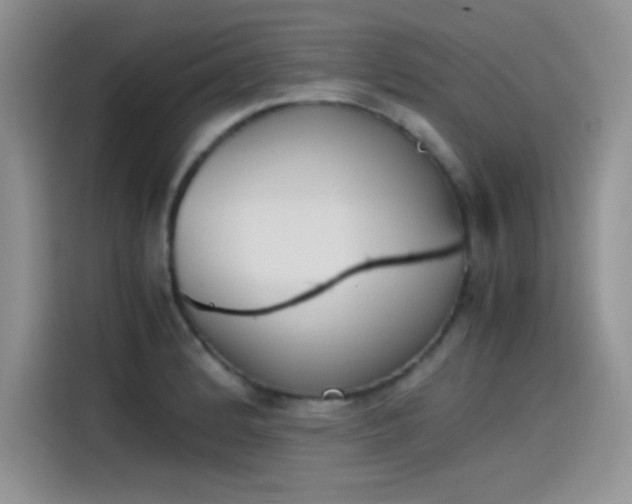 X0000115511184200911131335