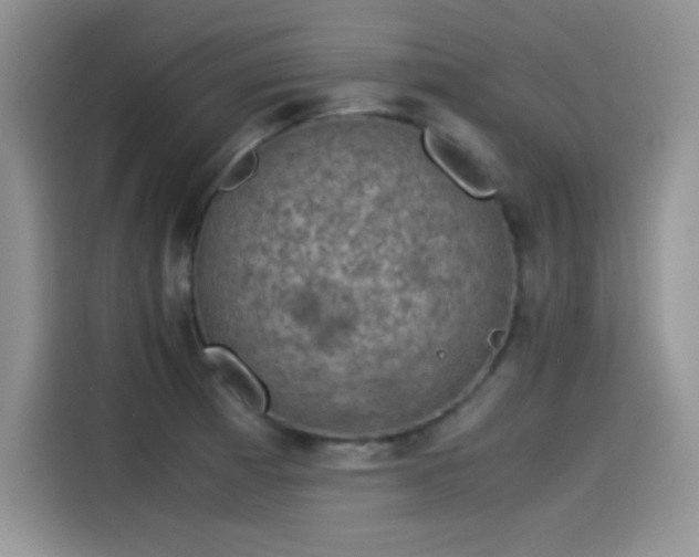 X0000115511185200911131335