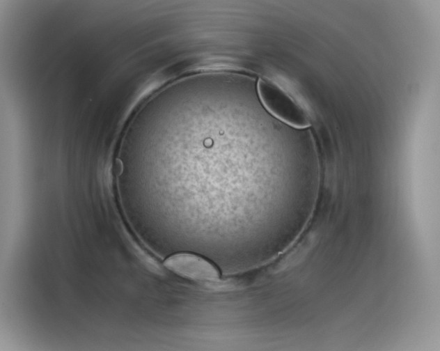 X0000115511189200911131335