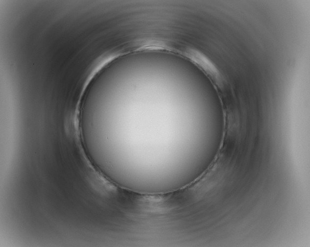 X0000115511190200911131335