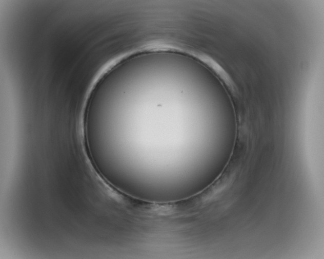 X0000115511191200911131335