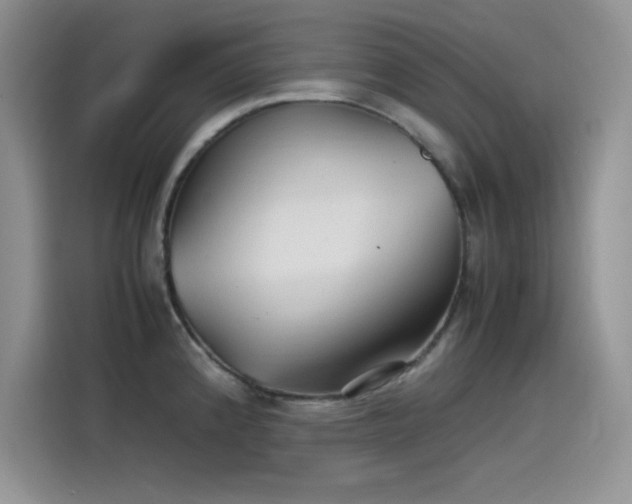 X0000115511192200911131335