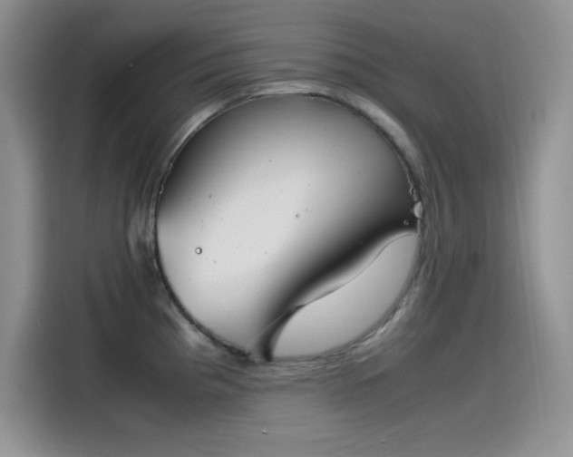 X0000115511193200911131335