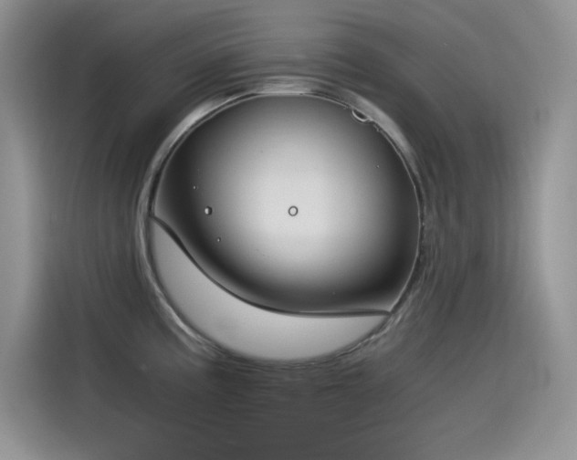 X0000115511195200911131335