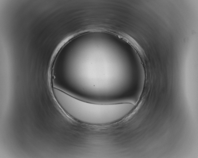 X0000115511196200911131335