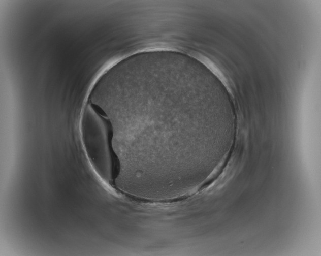 X0000115511197200911131335