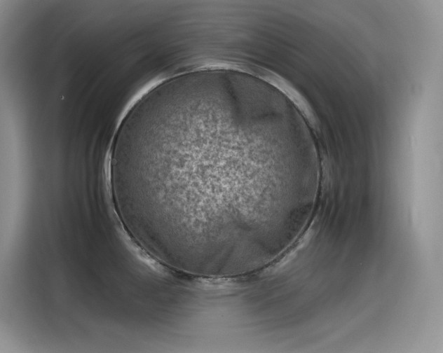 X0000115511198200911131335