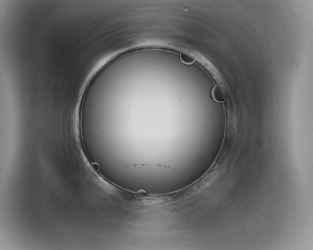 X0000115511199200911131335