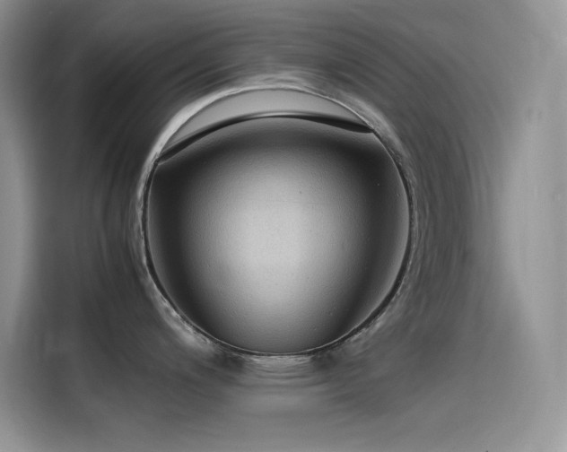 X0000115511200200911131335