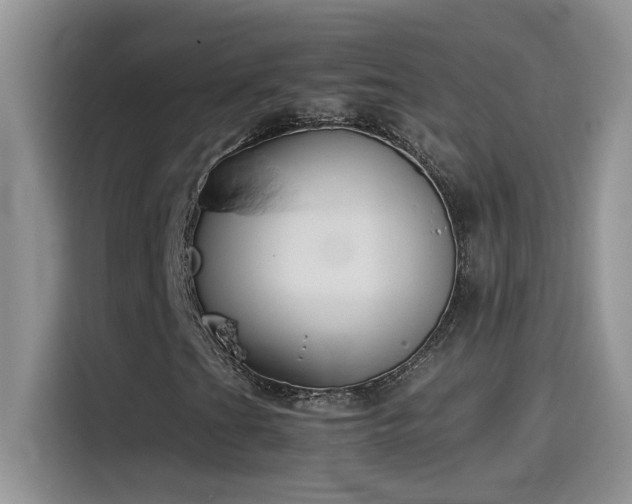 X0000115511201200911131334