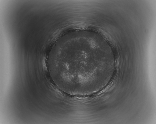 X0000115511202200911131334