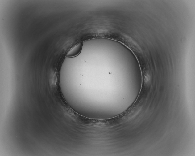 X0000115511204200911131334