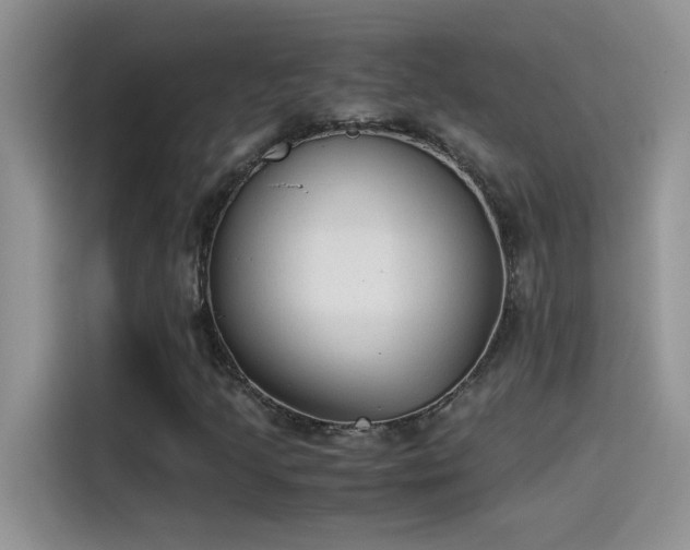 X0000115511205200911131334