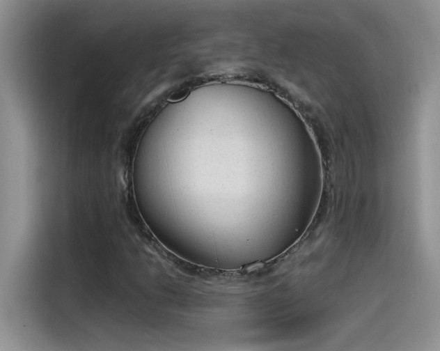 X0000115511206200911131334