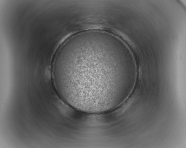 X0000115511212200911131334