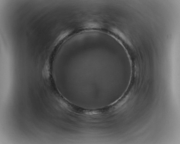 X0000115511213200911131334