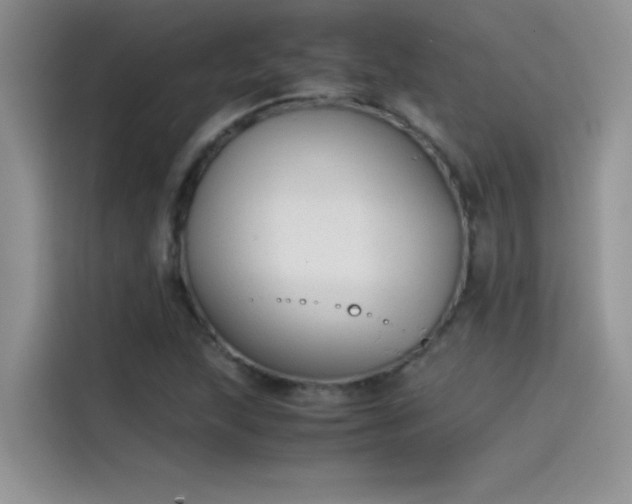 X0000115511215200911131334