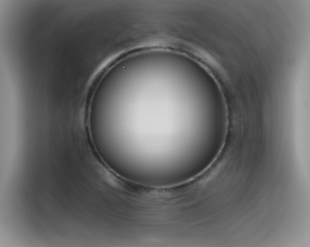 X0000115511216200911131334