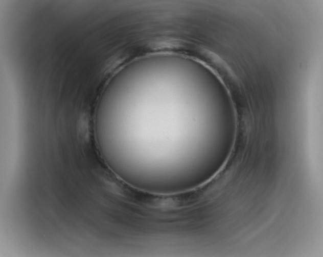 X0000115511217200911131334