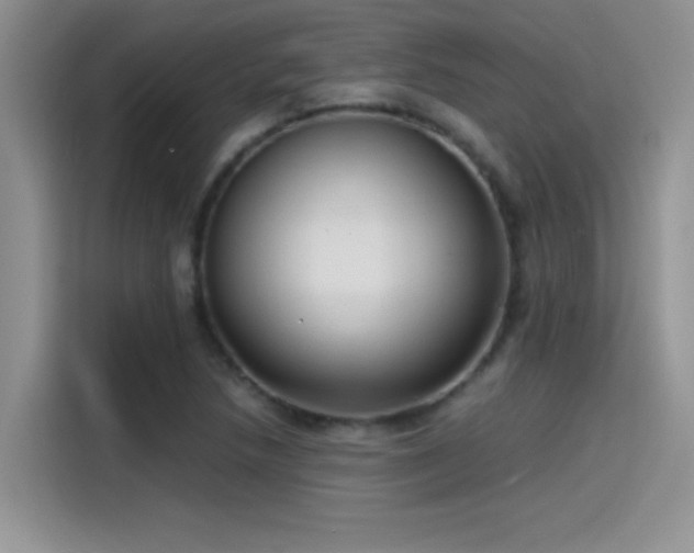 X0000115511218200911131334