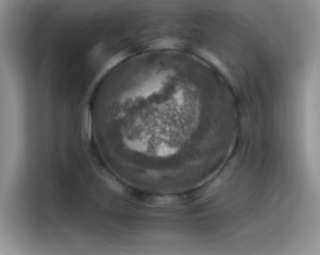 X0000115511219200911131334