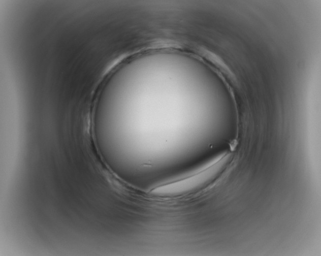 X0000115511220200911131334