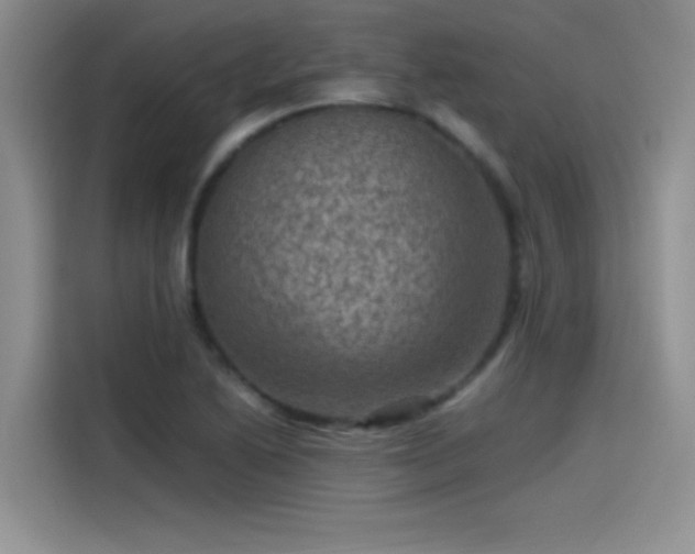 X0000115511222200911131334