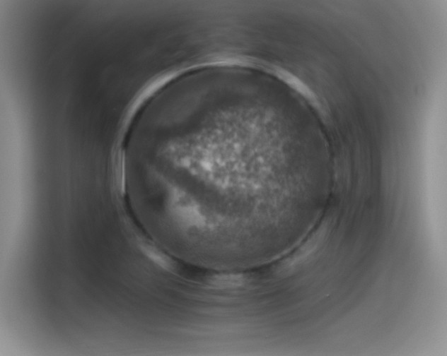 X0000115511223200911131334