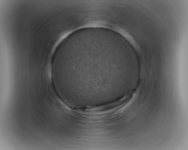 X0000115511224200911131334