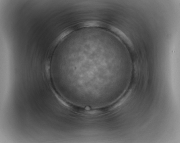 X0000115511225200911131334