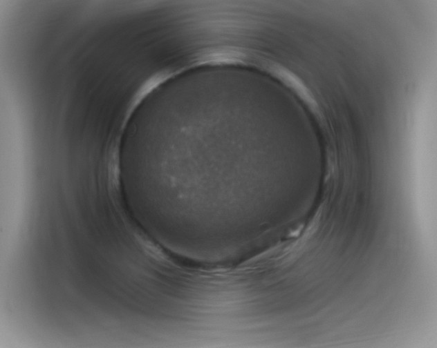 X0000115511226200911131334