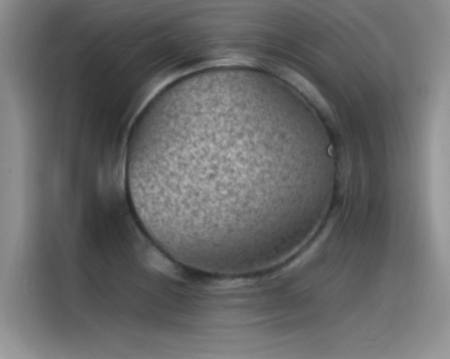 X0000115511228200911131334