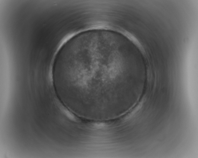 X0000115511230200911131334